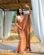 Brown Muslin Saree With Karchupi