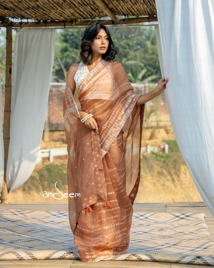 Brown Muslin Saree With Karchupi - Image 4