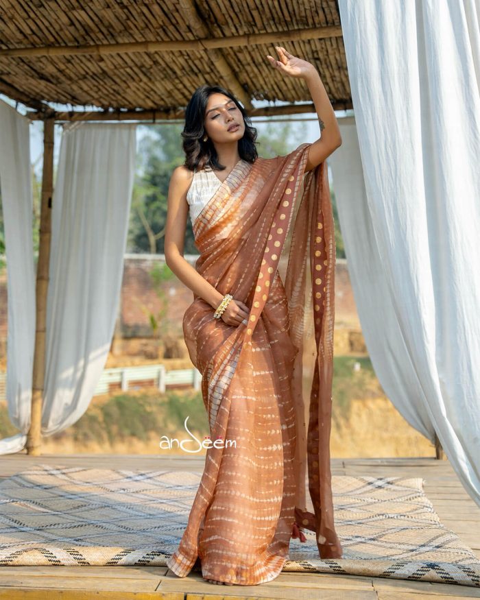 Brown Muslin Saree With Karchupi - Image 3
