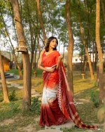Cotton Handloom Saree- Red, White And Maroon - Image 6