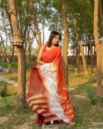Cotton Handloom Saree- Red, White And Maroon - Image 3
