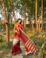 Cotton Handloom Saree- Red, White And Maroon - Image 4