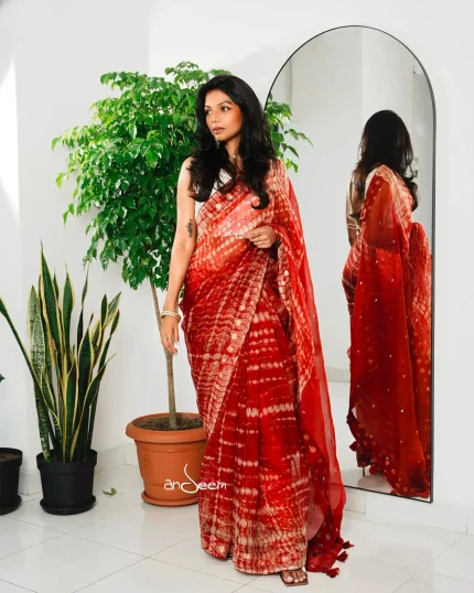 Brick Red Muslin Saree with Karchupi Work