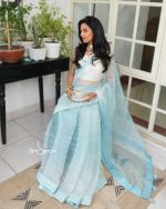 Powder Blue Muslin Saree with Karchupi Work - Image 2
