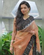 Teracotta Muslin Saree - Image 2